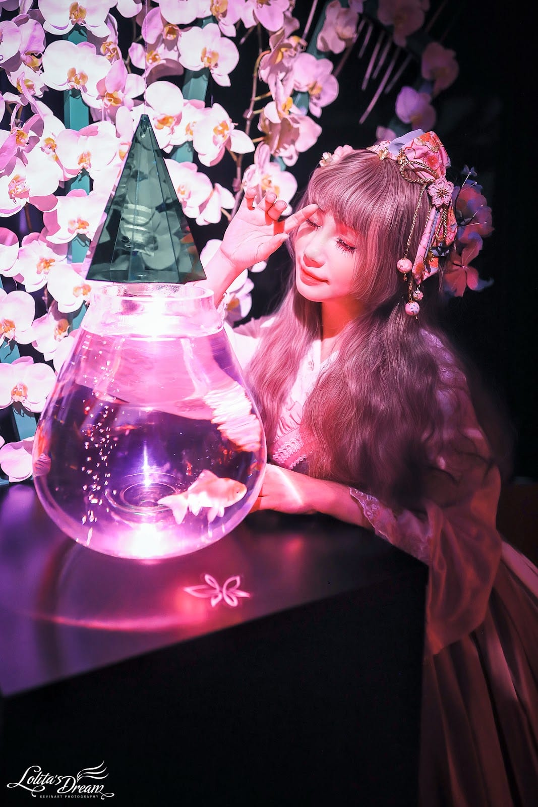 ART AQUARIUM TAIPEI 金魚藝術展