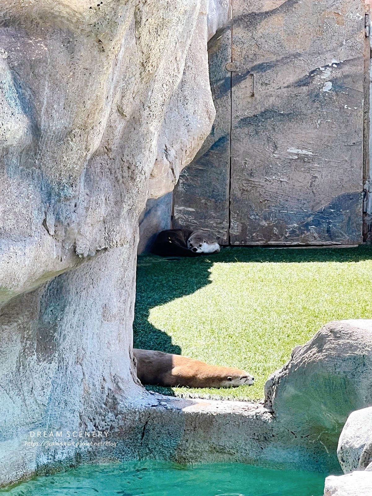 【美國-Arizona】亞利桑那州必訪野生動物園│開車進野生 【美國-Arizona】亞利桑那州必訪野生動物園│開車進野生