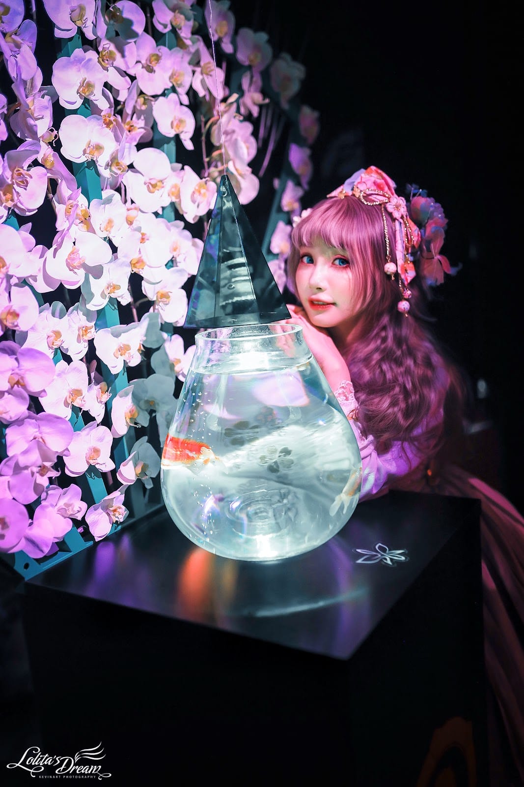 ART AQUARIUM TAIPEI 金魚藝術展