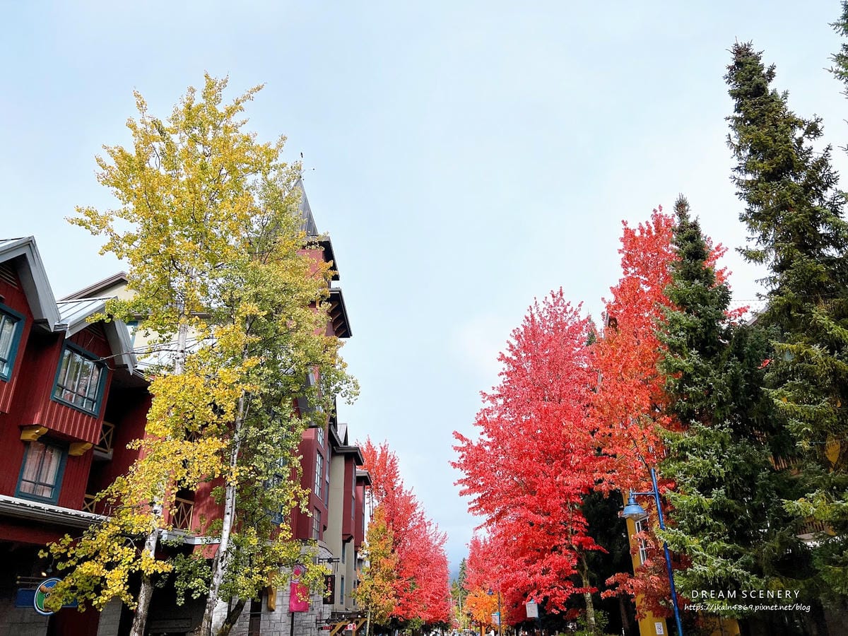 【加拿大- Whistler】秋天在歐洲小鎮漫步│惠斯勒秋季 【加拿大- Whistler】秋天在歐洲小鎮漫步│惠斯勒秋季