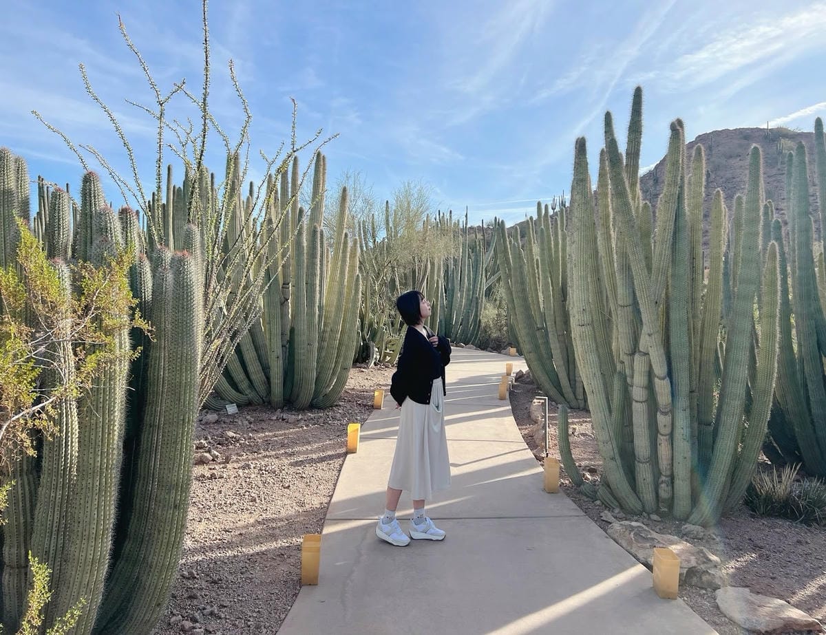 【美國-Arizona】亞利桑那州景點│沙漠植物園│Dese