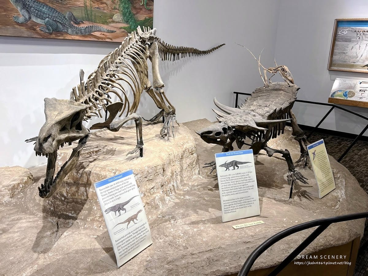 【美國-Arizona】穿越億萬年時光的旅程│石化森林國家公 【美國-Arizona】穿越億萬年時光的旅程│石化森林國家公