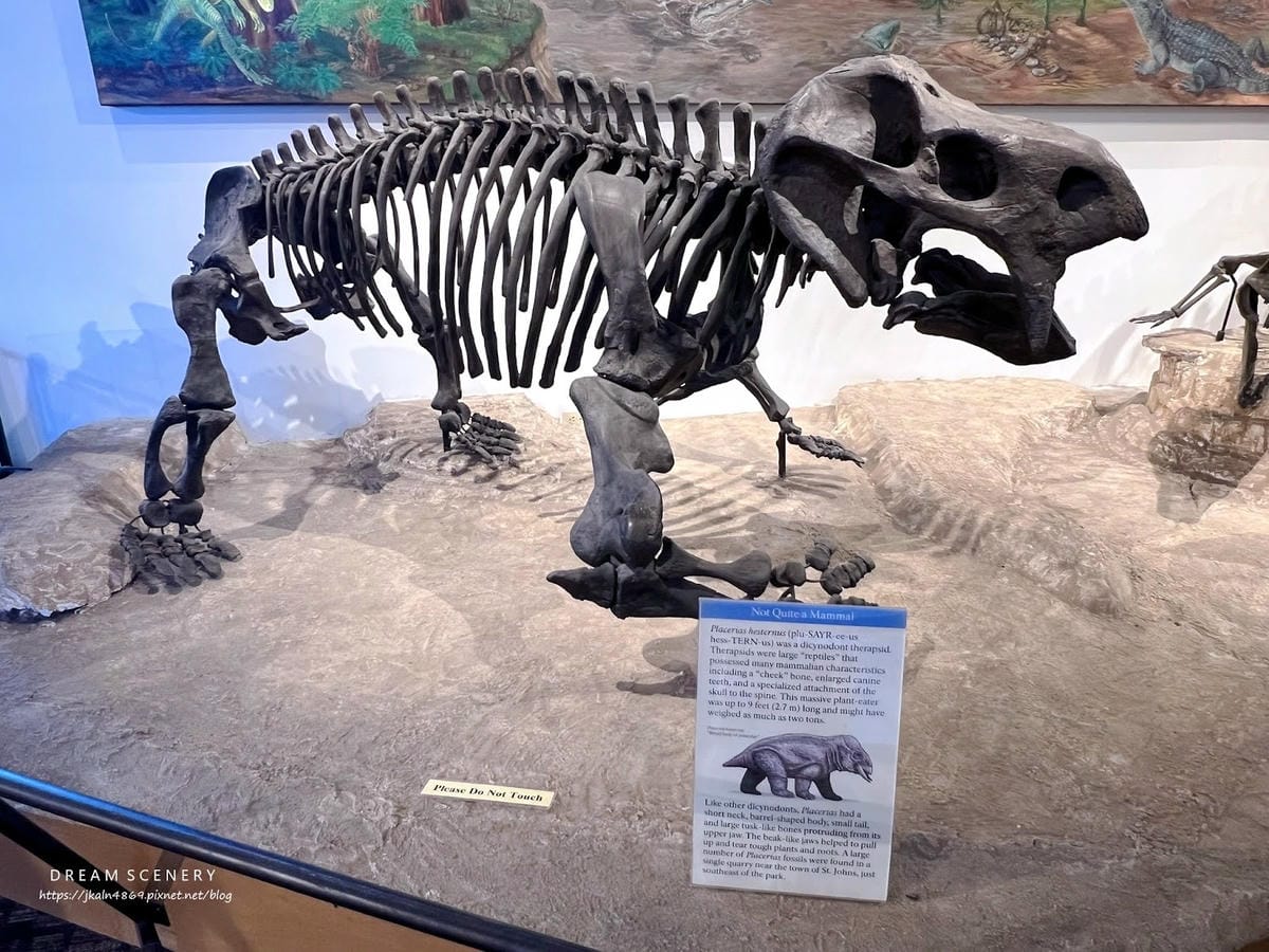 【美國-Arizona】穿越億萬年時光的旅程│石化森林國家公 【美國-Arizona】穿越億萬年時光的旅程│石化森林國家公