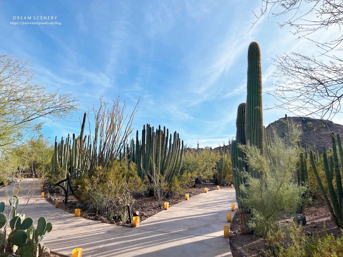 【美國-Arizona】亞利桑那州景點│沙漠植物園│Dese