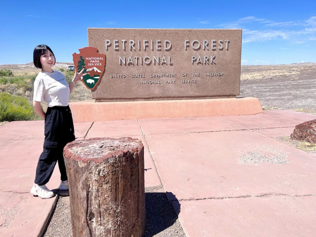 【美國-Arizona】穿越億萬年時光的旅程│石化森林國家公 【美國-Arizona】穿越億萬年時光的旅程│石化森林國家公