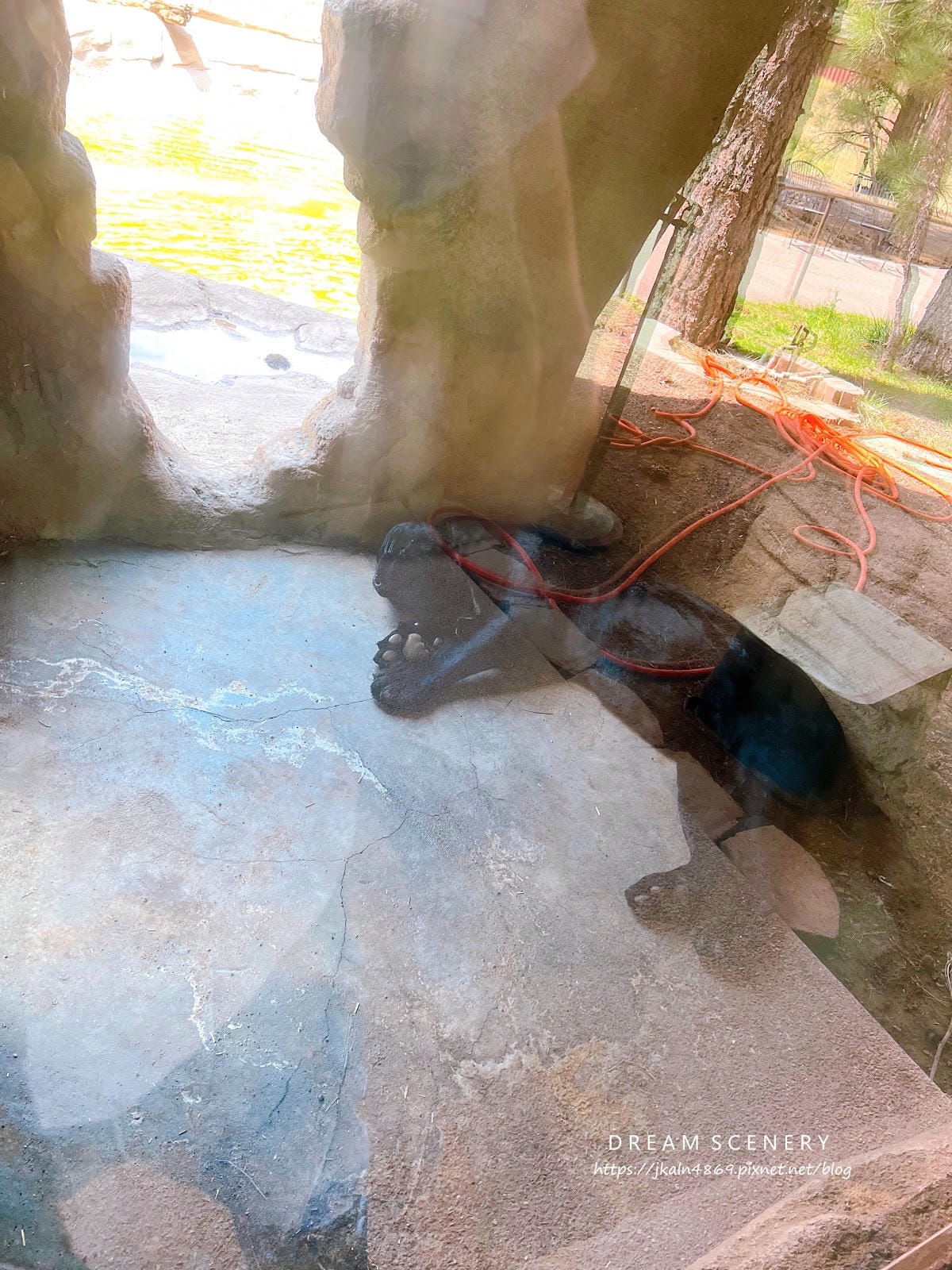 【美國-Arizona】亞利桑那州必訪野生動物園│開車進野生 【美國-Arizona】亞利桑那州必訪野生動物園│開車進野生