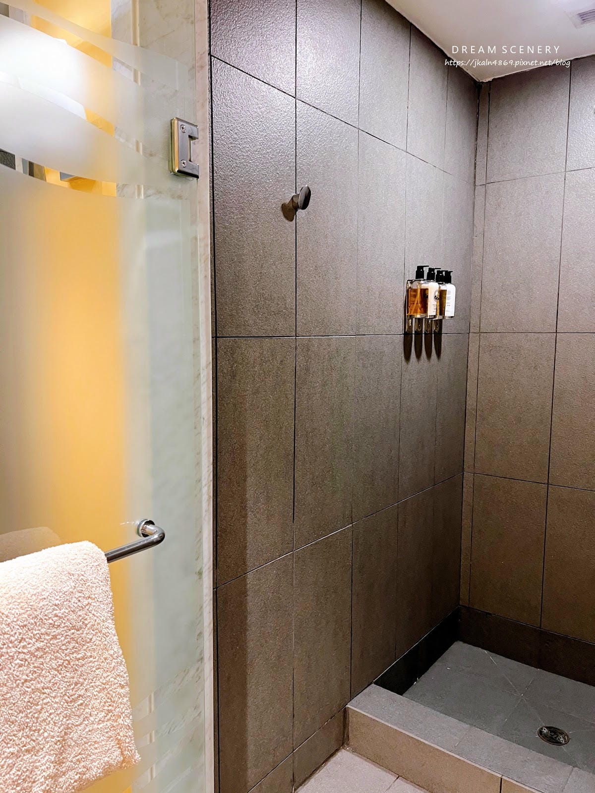 【智利-Santiago】THE RITZ-CARLTON, 【智利-Santiago】THE RITZ-CARLTON,