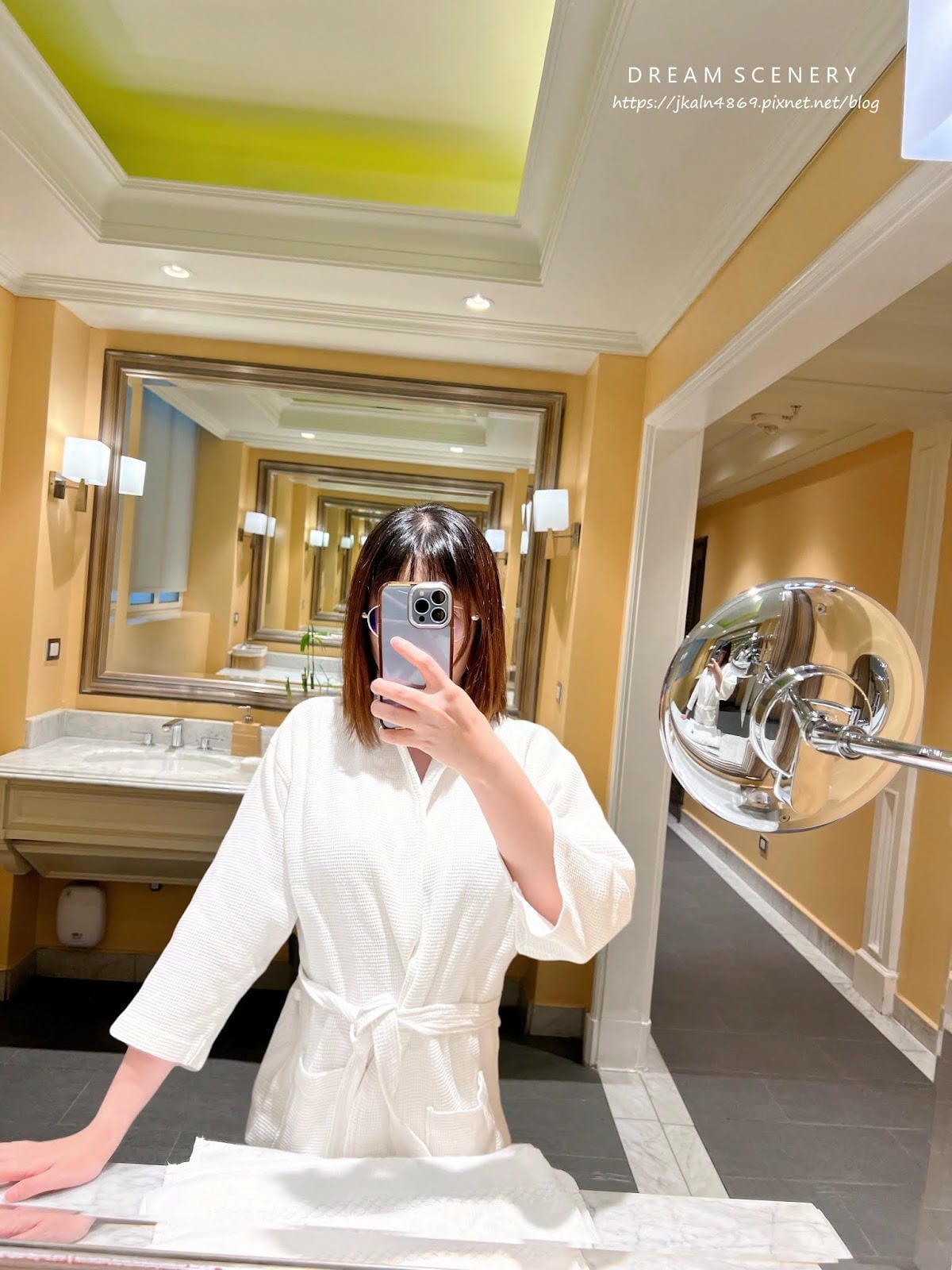 【智利-Santiago】THE RITZ-CARLTON, 【智利-Santiago】THE RITZ-CARLTON,