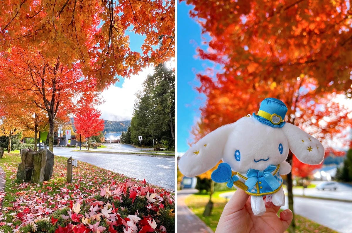 【加拿大- Whistler】秋天在歐洲小鎮漫步│惠斯勒秋季 【加拿大- Whistler】秋天在歐洲小鎮漫步│惠斯勒秋季