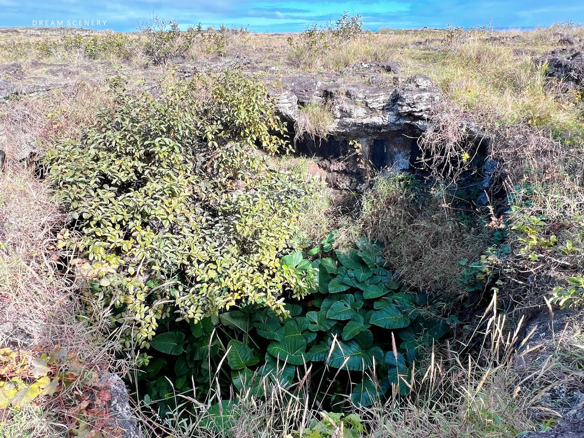 【智利-Easter Island】復活節島火山洞口 | B 【智利-Easter Island】復活節島火山洞口 | B