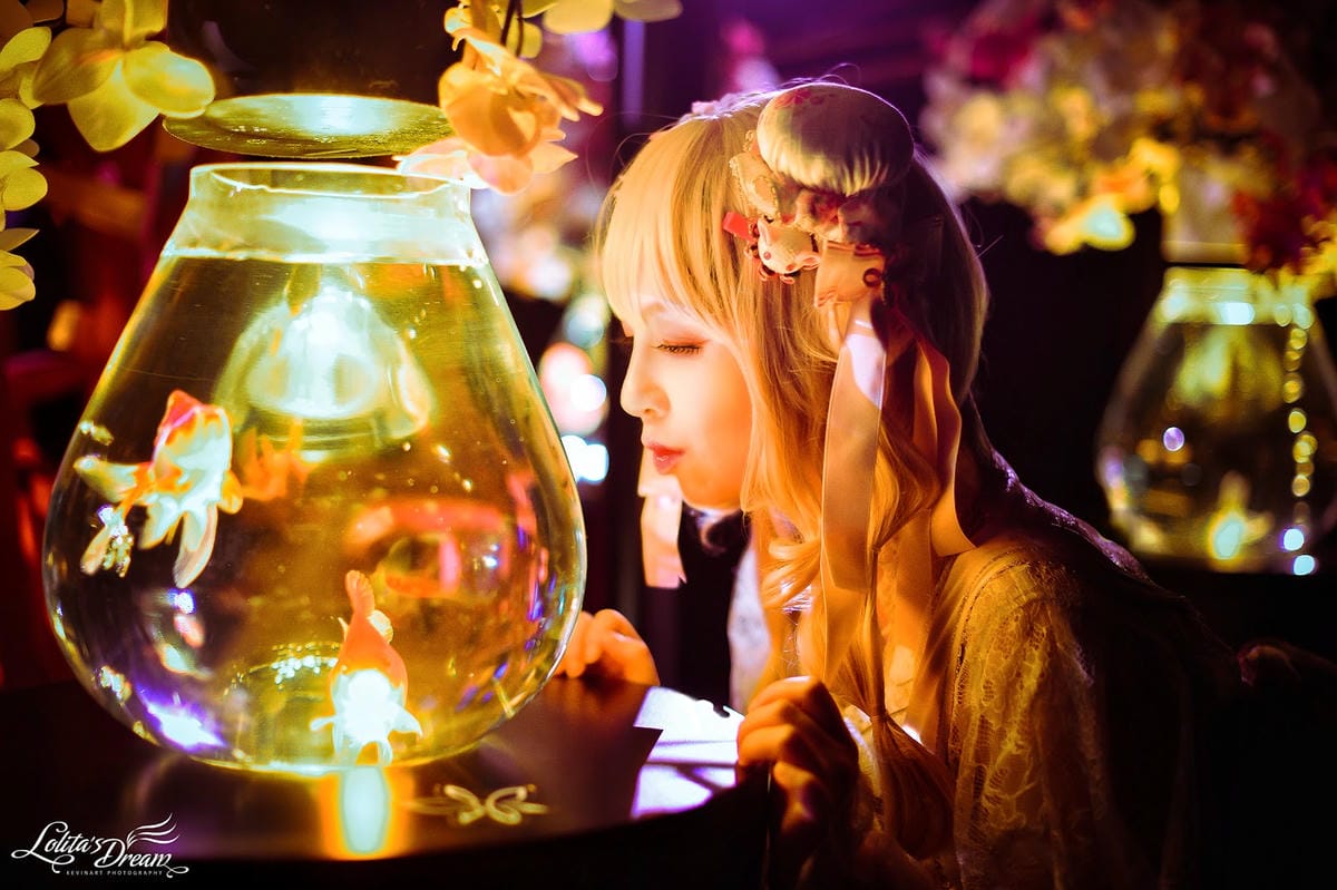 ART AQUARIUM TAIPEI 金魚藝術展