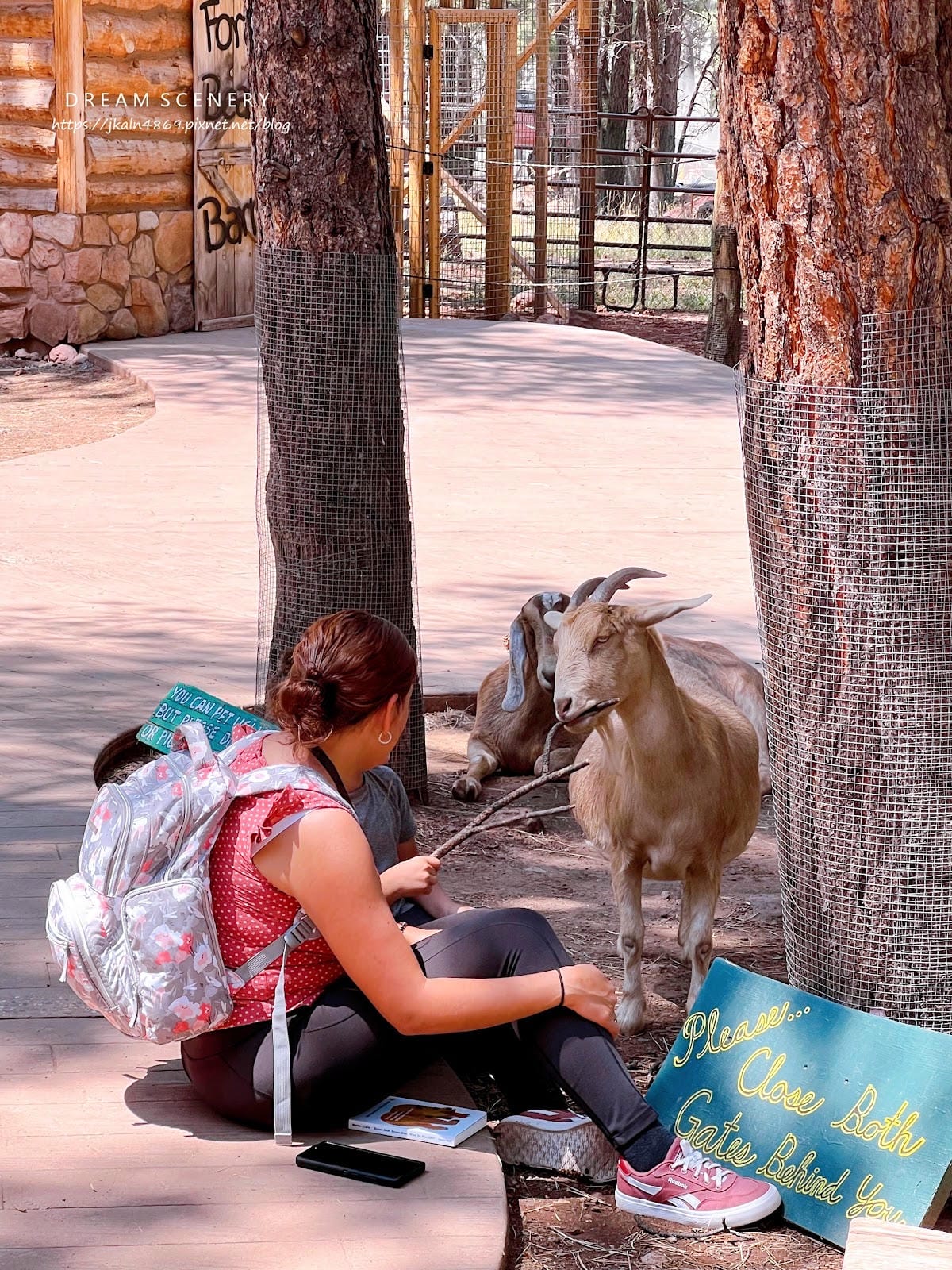 【美國-Arizona】亞利桑那州必訪野生動物園│開車進野生 【美國-Arizona】亞利桑那州必訪野生動物園│開車進野生