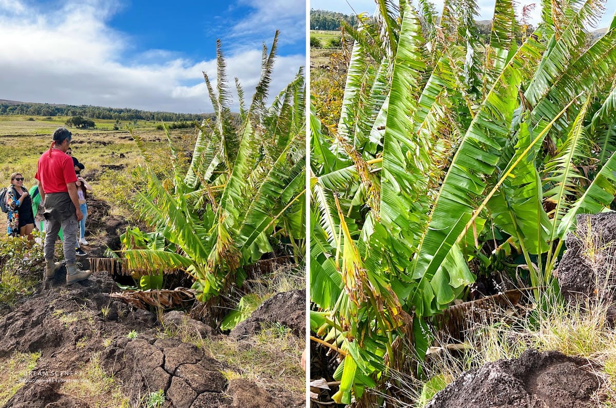 【智利-Easter Island】復活節島火山洞口 | B 【智利-Easter Island】復活節島火山洞口 | B