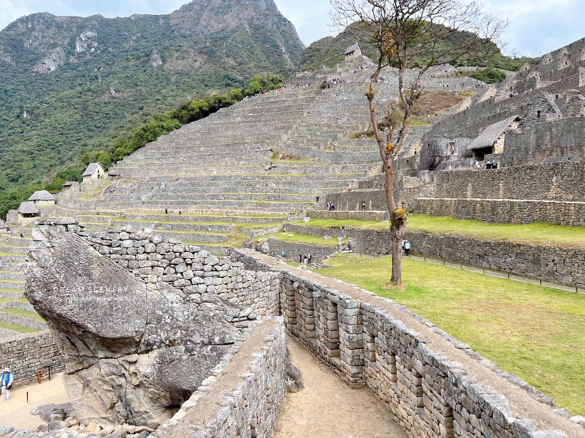 【祕魯-Machu Picchu】印加帝國的“失落之城”│馬 【祕魯-Machu Picchu】印加帝國的“失落之城”│馬