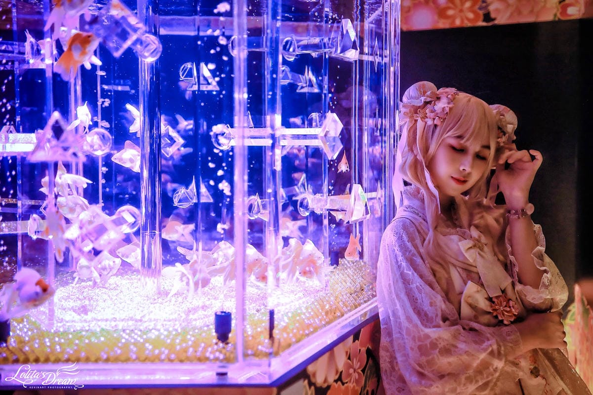 ART AQUARIUM TAIPEI 金魚藝術展