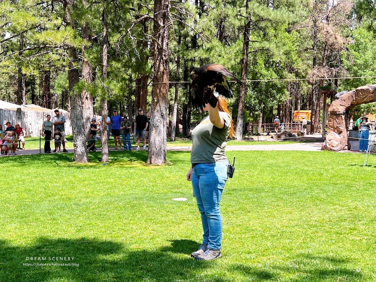 【美國-Arizona】亞利桑那州必訪野生動物園│開車進野生 【美國-Arizona】亞利桑那州必訪野生動物園│開車進野生