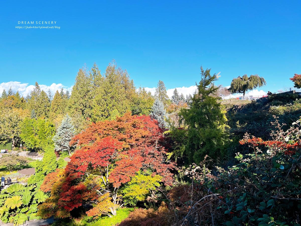 【加拿大- Vancouver】制高點美景與隱藏版藝術裝置│ 【加拿大- Vancouver】制高點美景與隱藏版藝術裝置│