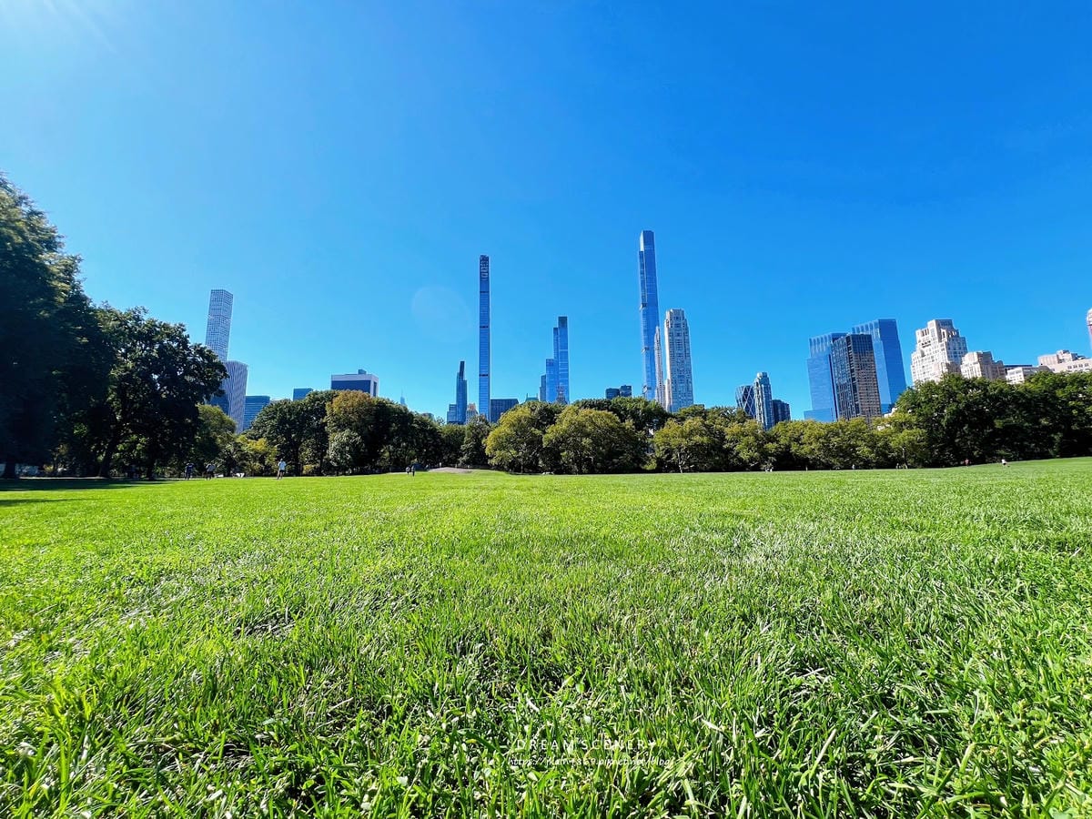 【美國-New York】紐約最具代表的景點之一 │ 中央公 【美國-New York】紐約最具代表的景點之一 │ 中央公
