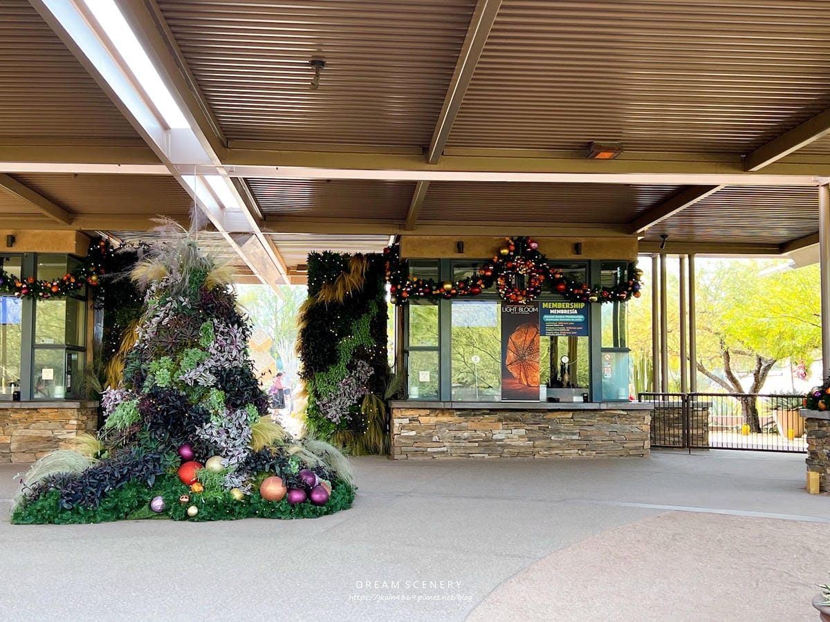 【美國-Arizona】亞利桑那州景點│沙漠植物園│Dese