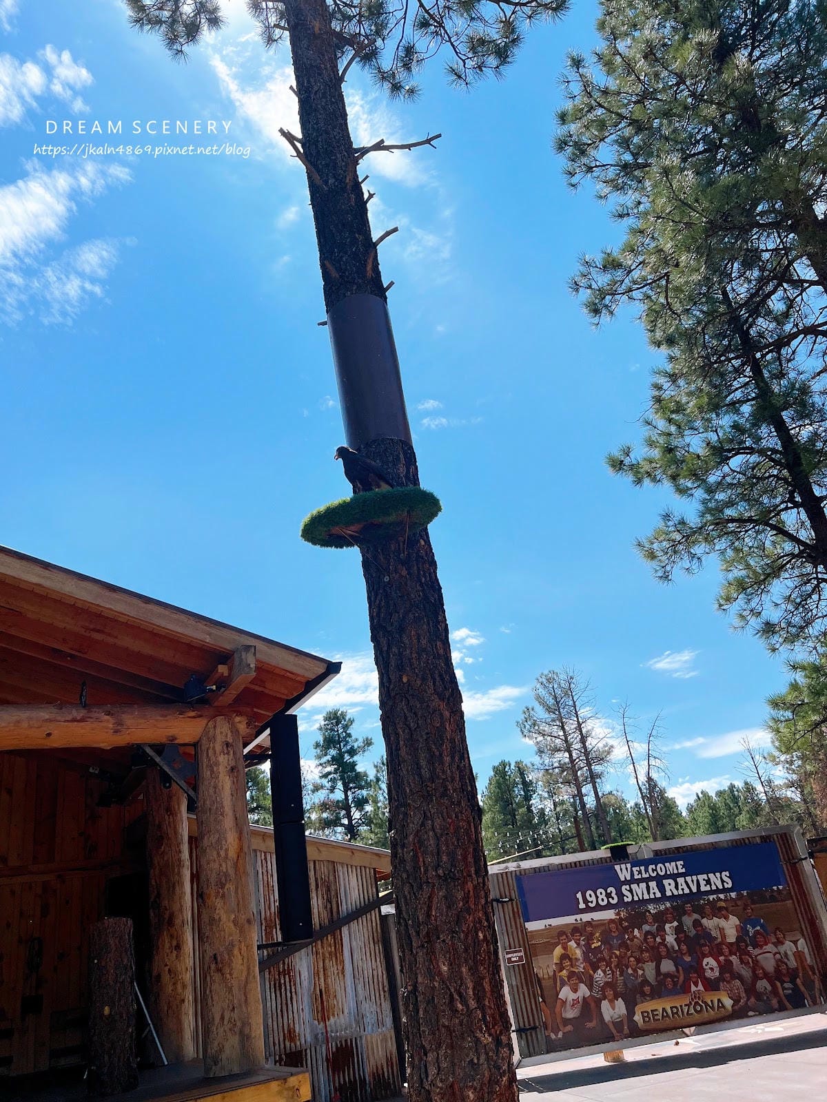 【美國-Arizona】亞利桑那州必訪野生動物園│開車進野生 【美國-Arizona】亞利桑那州必訪野生動物園│開車進野生