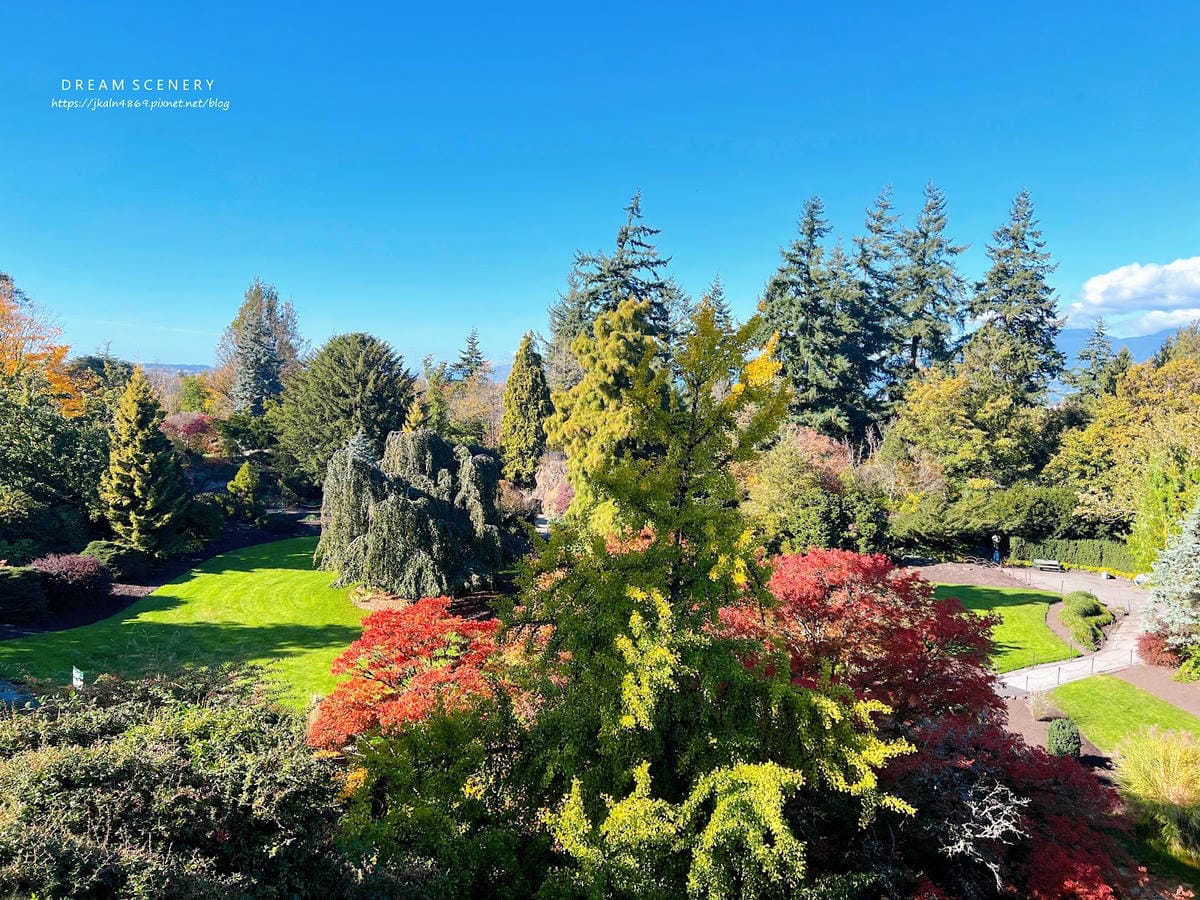 【加拿大- Vancouver】制高點美景與隱藏版藝術裝置│ 【加拿大- Vancouver】制高點美景與隱藏版藝術裝置│