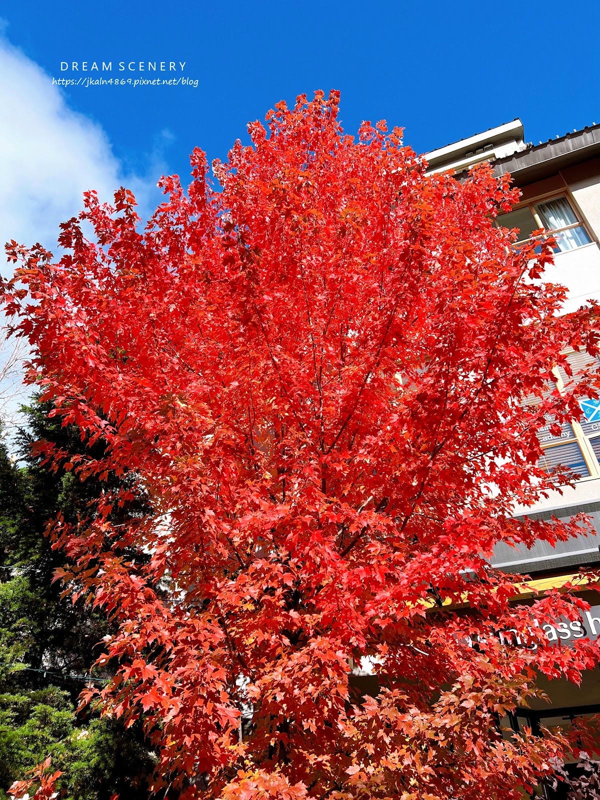 【加拿大- Whistler】秋天在歐洲小鎮漫步│惠斯勒秋季 【加拿大- Whistler】秋天在歐洲小鎮漫步│惠斯勒秋季