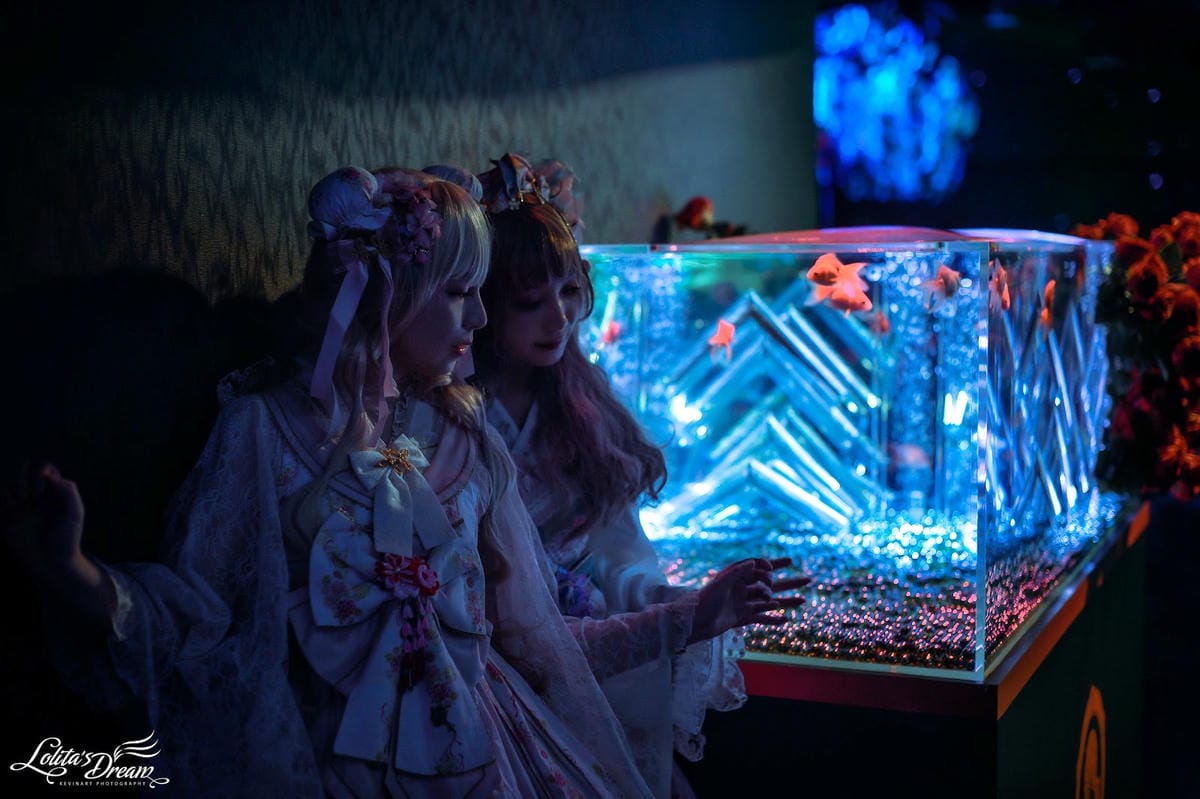 ART AQUARIUM TAIPEI 金魚藝術展