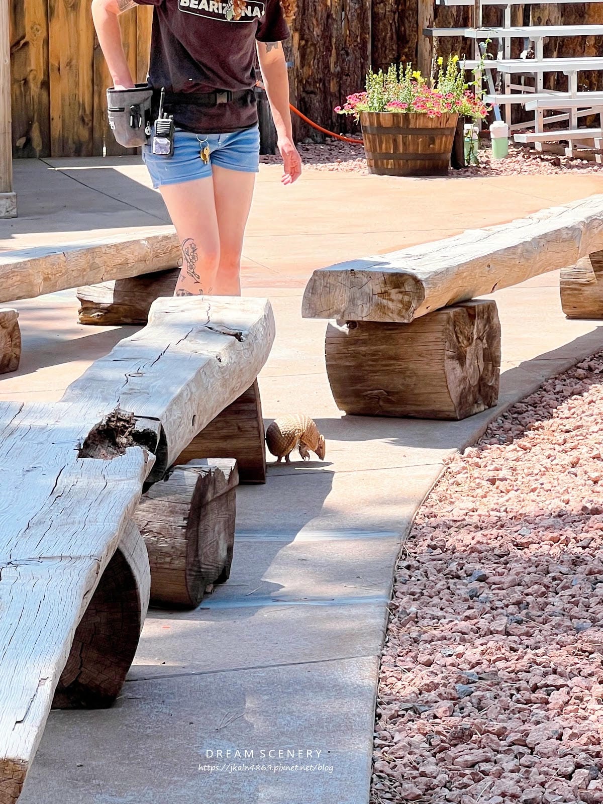【美國-Arizona】亞利桑那州必訪野生動物園│開車進野生 【美國-Arizona】亞利桑那州必訪野生動物園│開車進野生