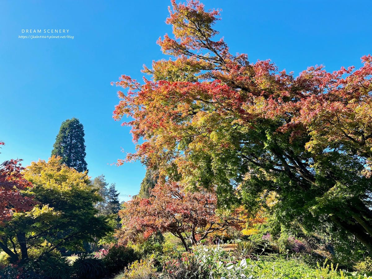 【加拿大- Vancouver】制高點美景與隱藏版藝術裝置│ 【加拿大- Vancouver】制高點美景與隱藏版藝術裝置│