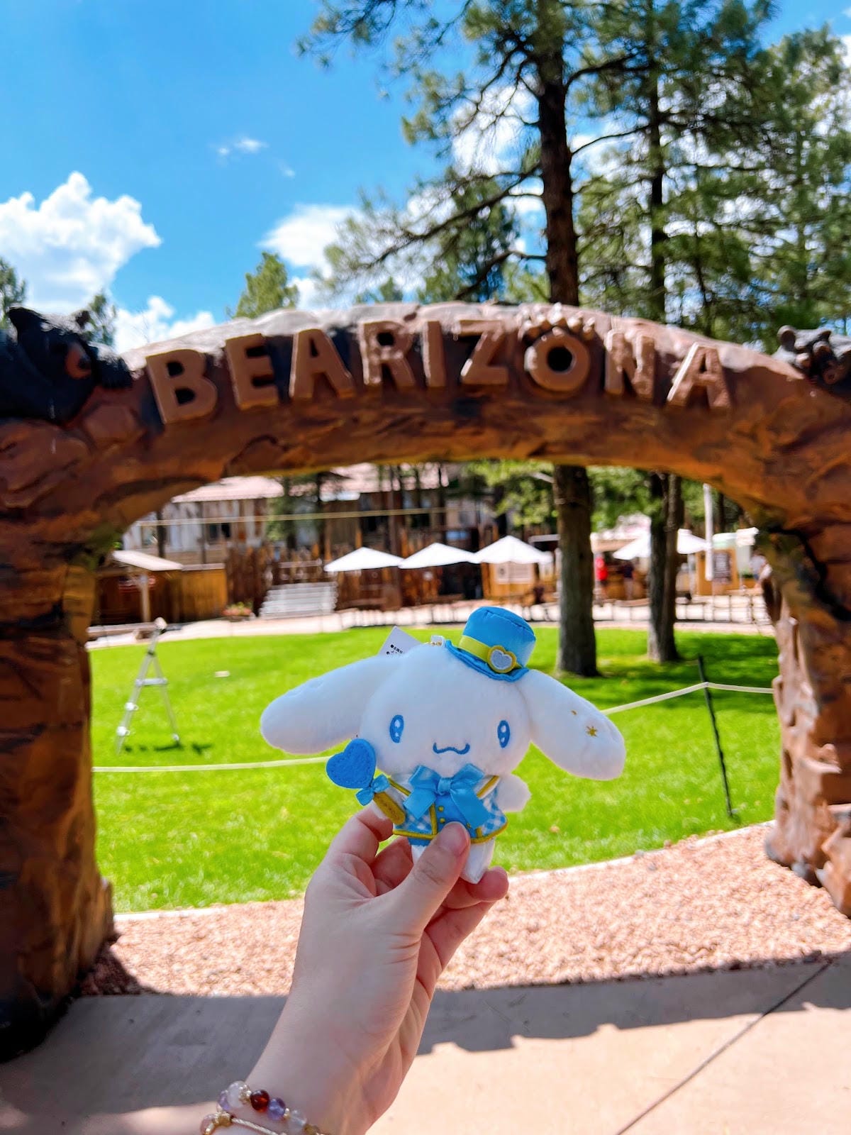 【美國-Arizona】亞利桑那州必訪野生動物園│開車進野生 【美國-Arizona】亞利桑那州必訪野生動物園│開車進野生