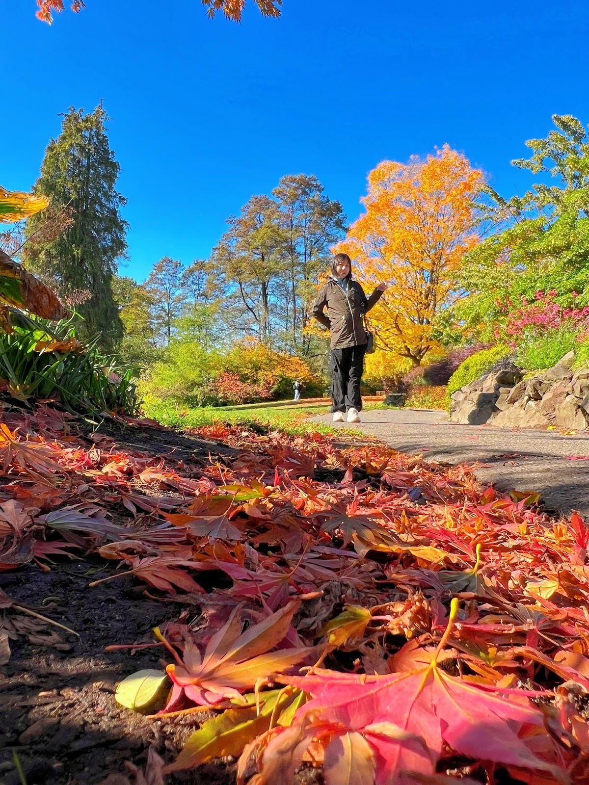 【加拿大- Vancouver】制高點美景與隱藏版藝術裝置│ 【加拿大- Vancouver】制高點美景與隱藏版藝術裝置│