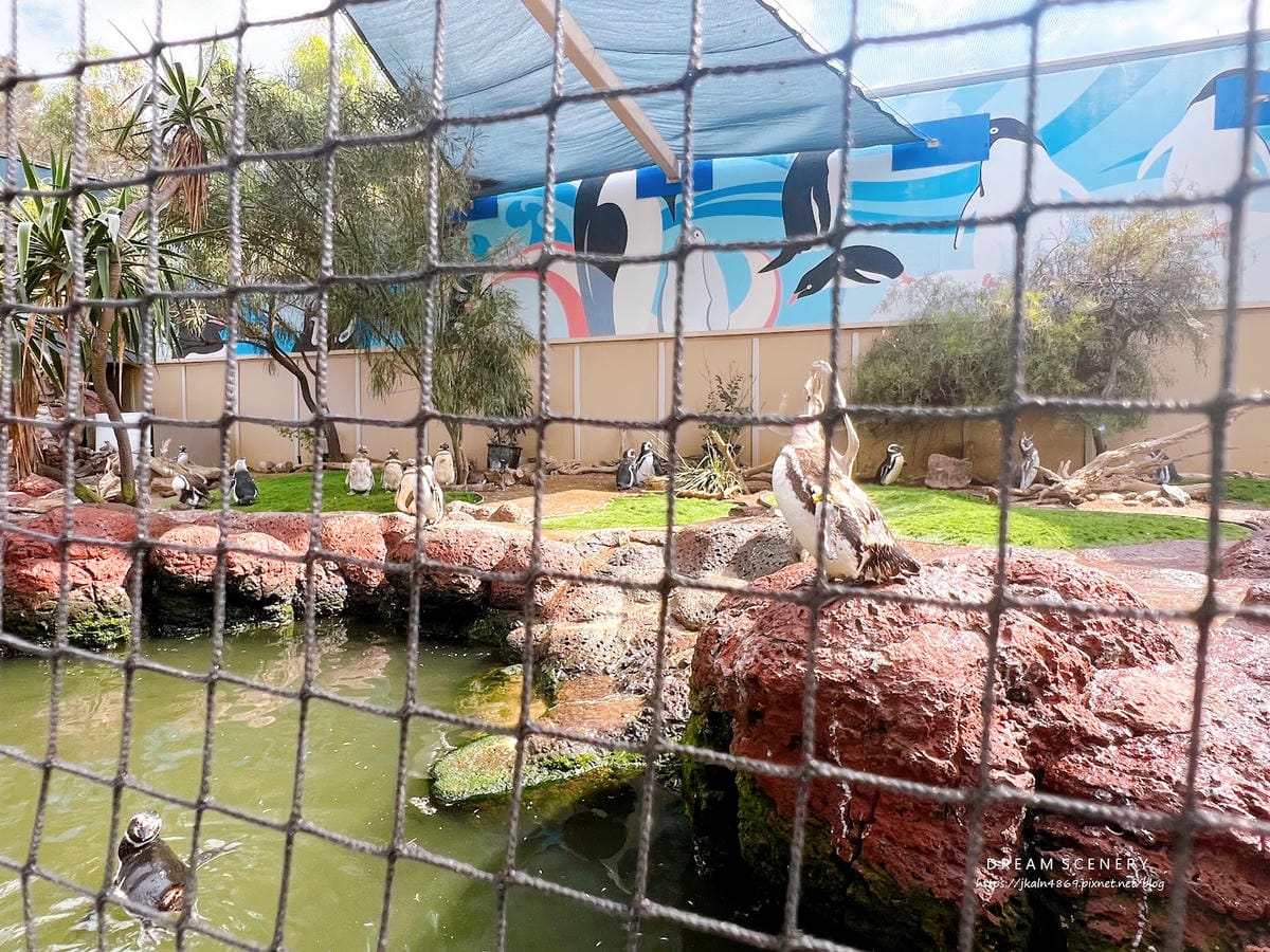 【美國-San Diego】聖地牙哥必訪景點│聖地牙哥海洋世 【美國-San Diego】聖地牙哥必訪景點│聖地牙哥海洋世