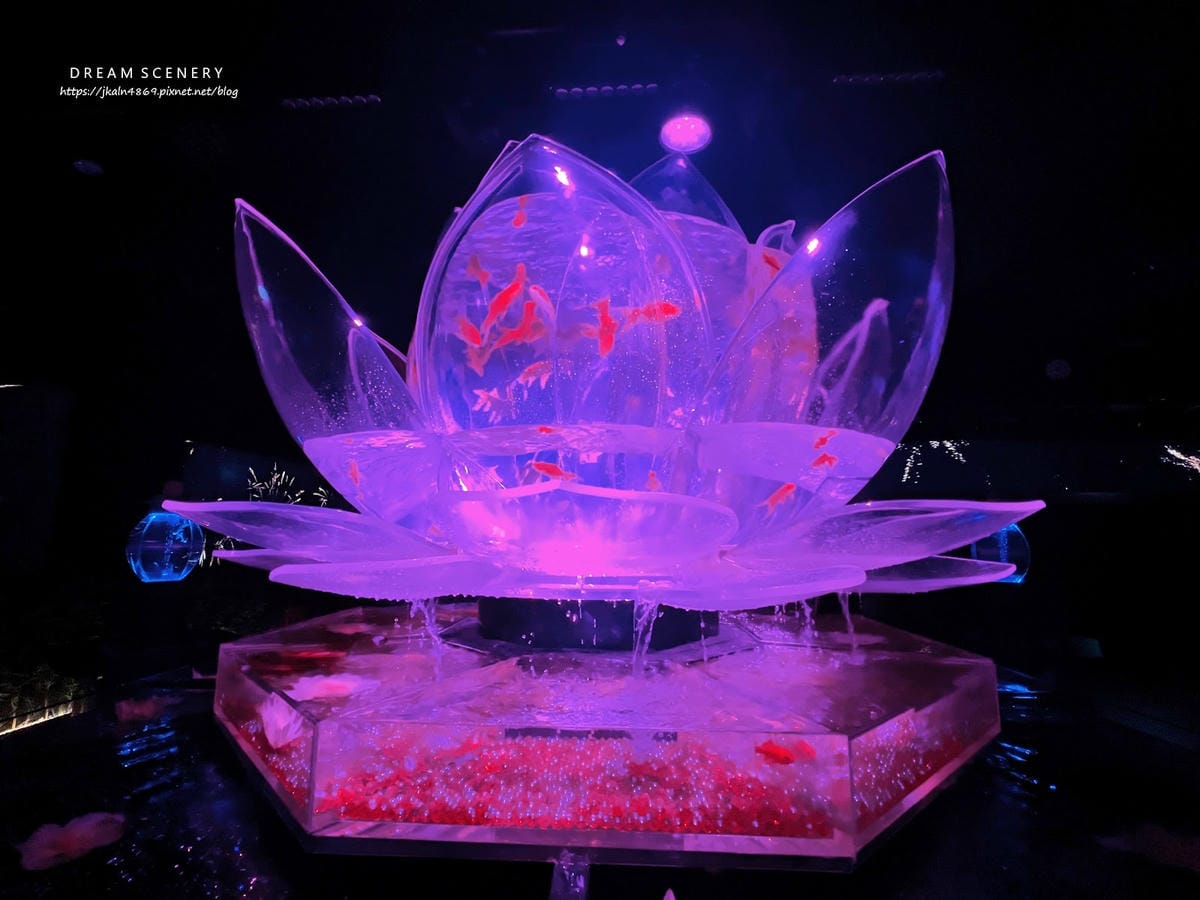 ART AQUARIUM TAIPEI 金魚藝術展