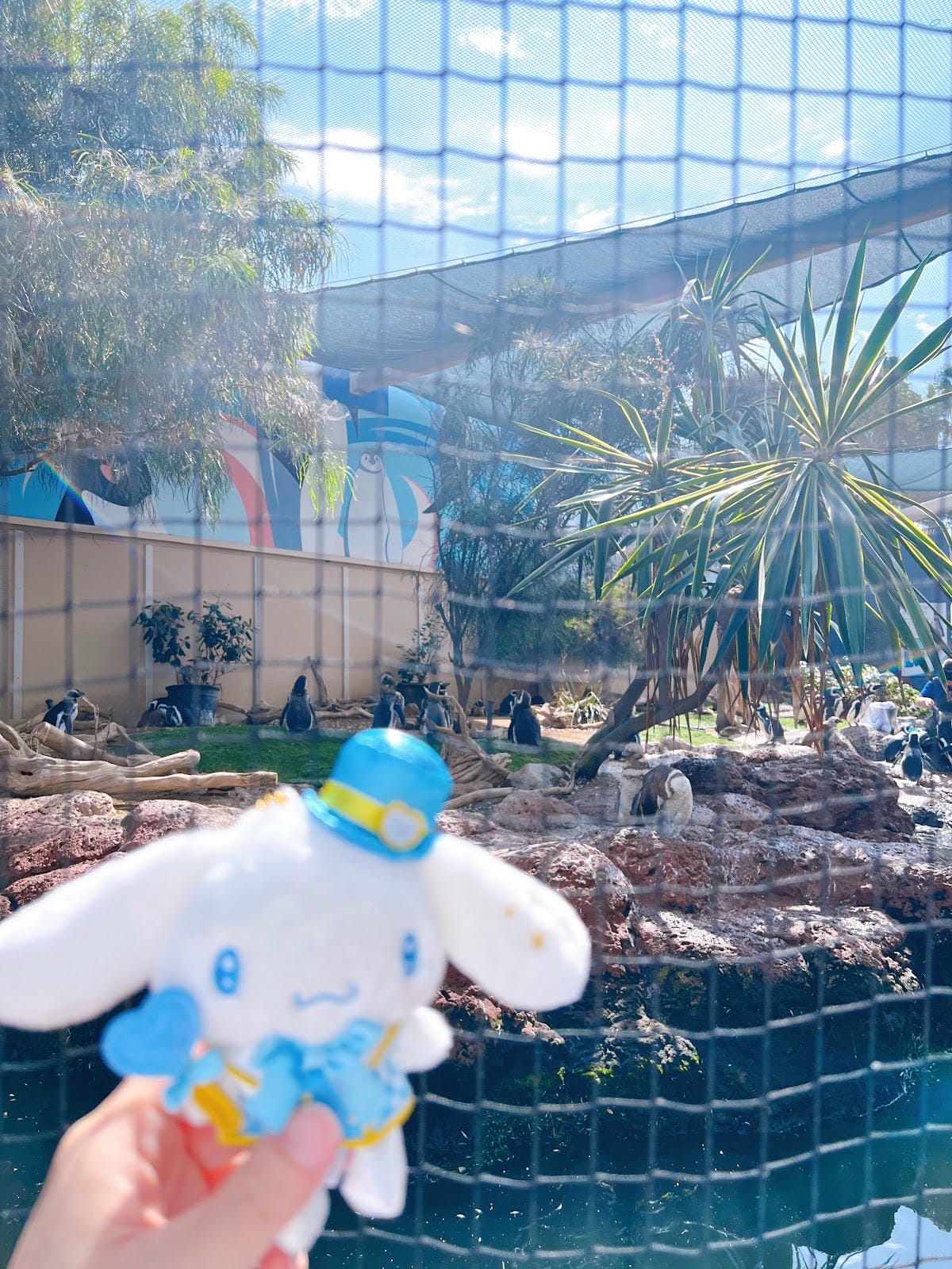 【美國-San Diego】聖地牙哥必訪景點│聖地牙哥海洋世 【美國-San Diego】聖地牙哥必訪景點│聖地牙哥海洋世