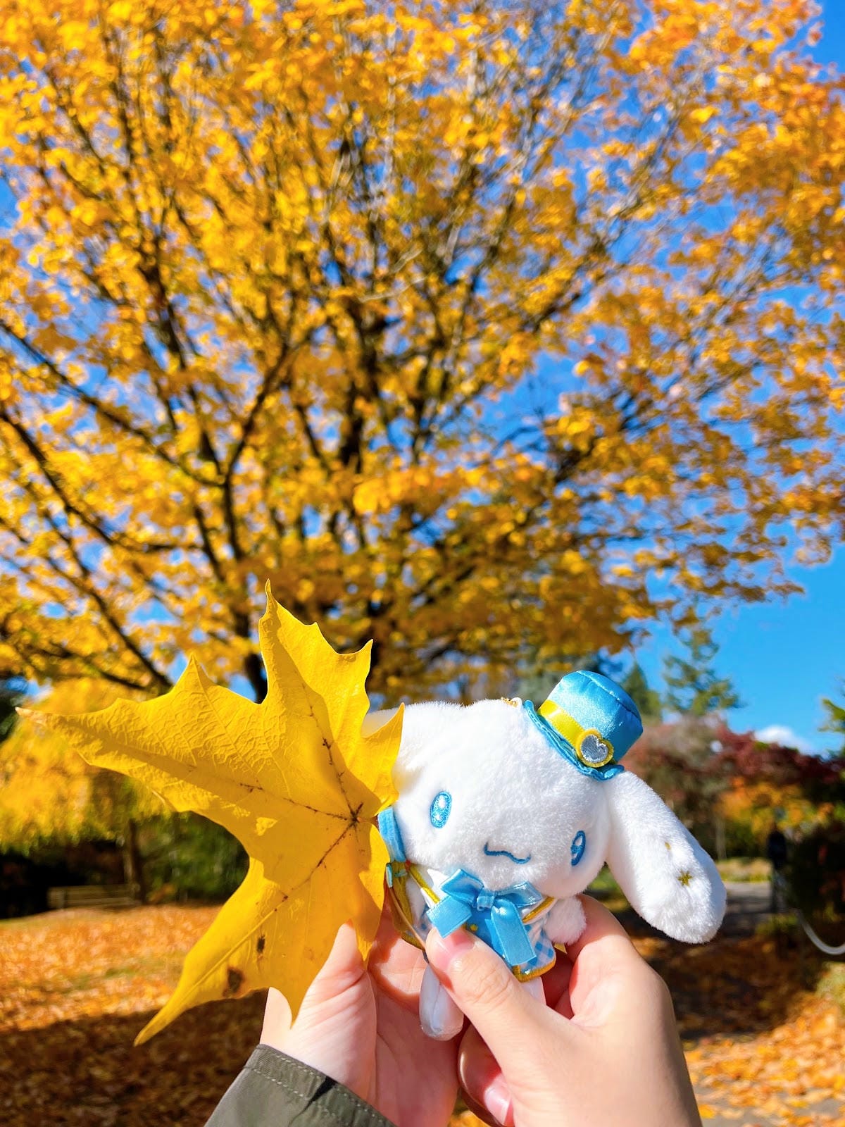 【加拿大- Vancouver】制高點美景與隱藏版藝術裝置│ 【加拿大- Vancouver】制高點美景與隱藏版藝術裝置│