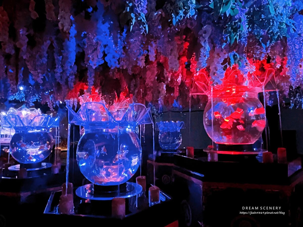 ART AQUARIUM TAIPEI 金魚藝術展