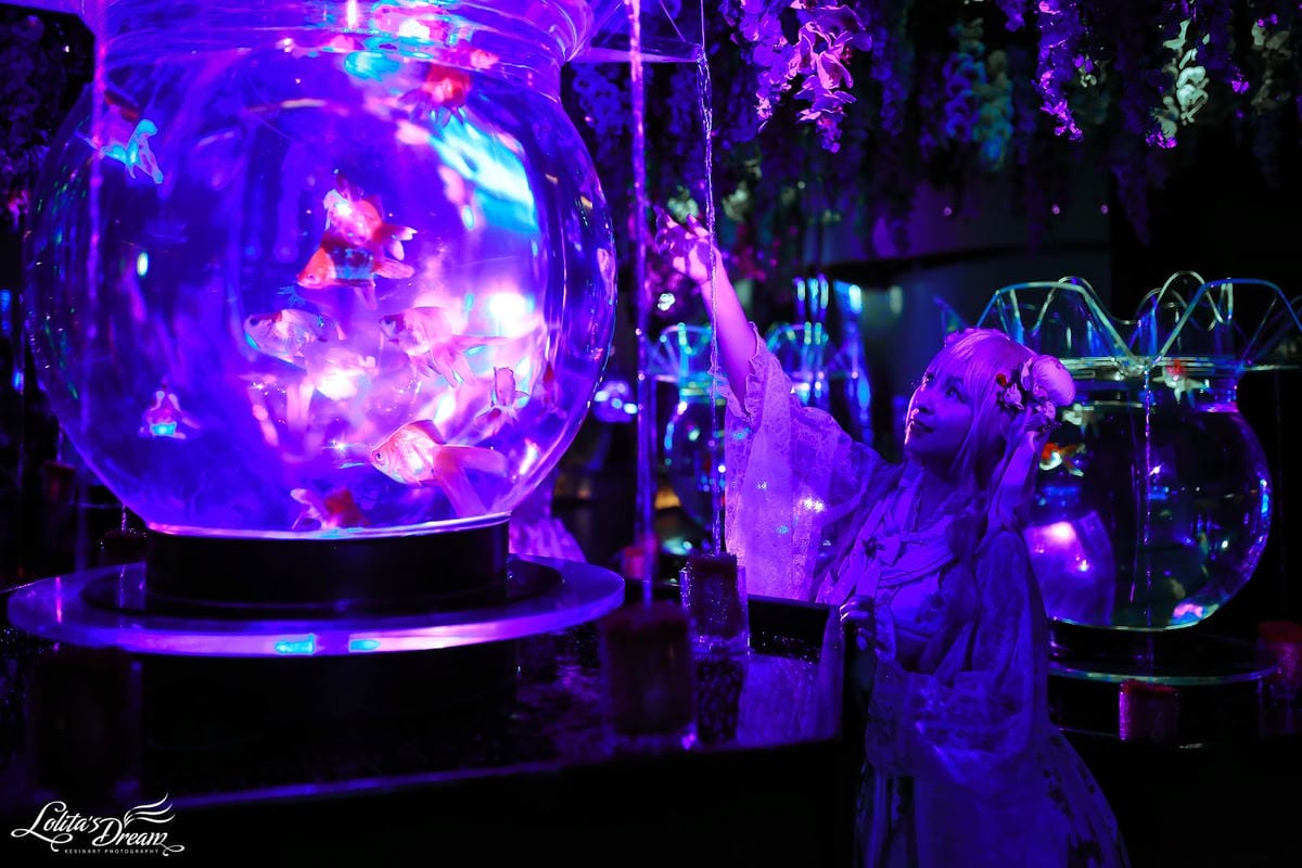 ART AQUARIUM TAIPEI 金魚藝術展