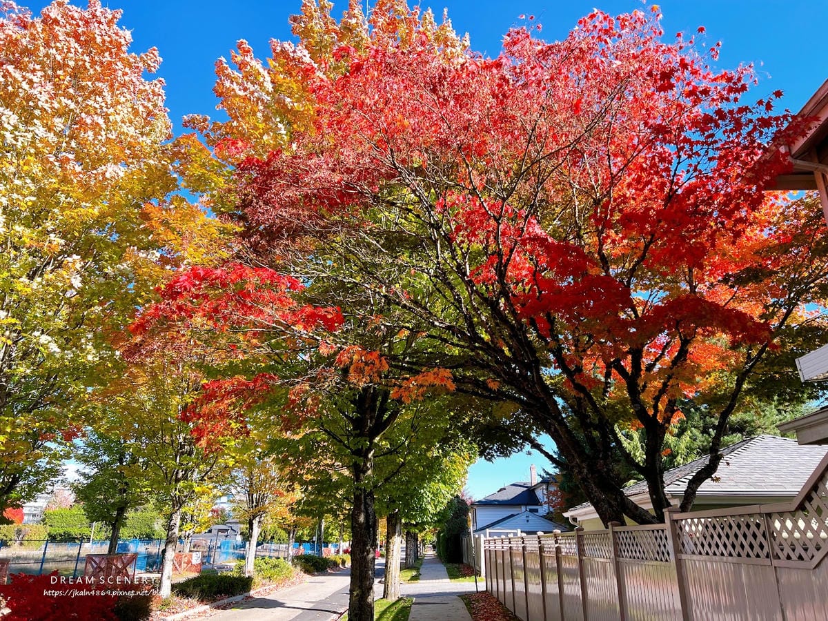【加拿大- Vancouver】制高點美景與隱藏版藝術裝置│ 【加拿大- Vancouver】制高點美景與隱藏版藝術裝置│