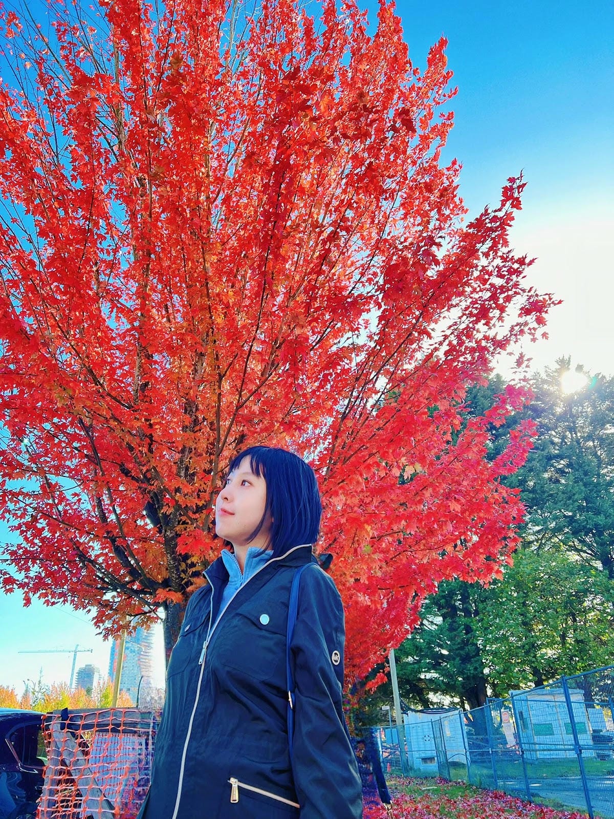 【加拿大- Vancouver】制高點美景與隱藏版藝術裝置│ 【加拿大- Vancouver】制高點美景與隱藏版藝術裝置│