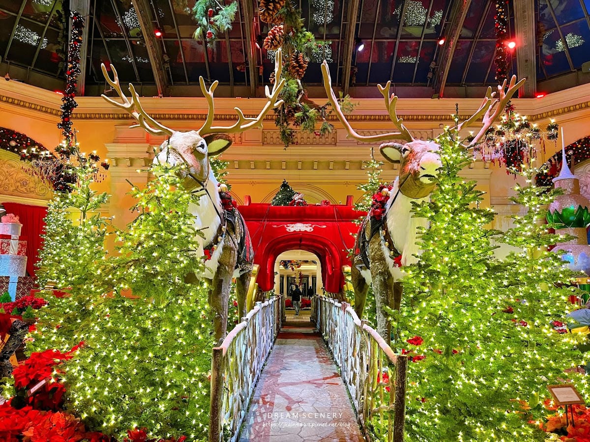 【美國-Las Vegas】2024冬季花園│百樂宮酒店 B 【美國-Las Vegas】2024冬季花園│百樂宮酒店 B