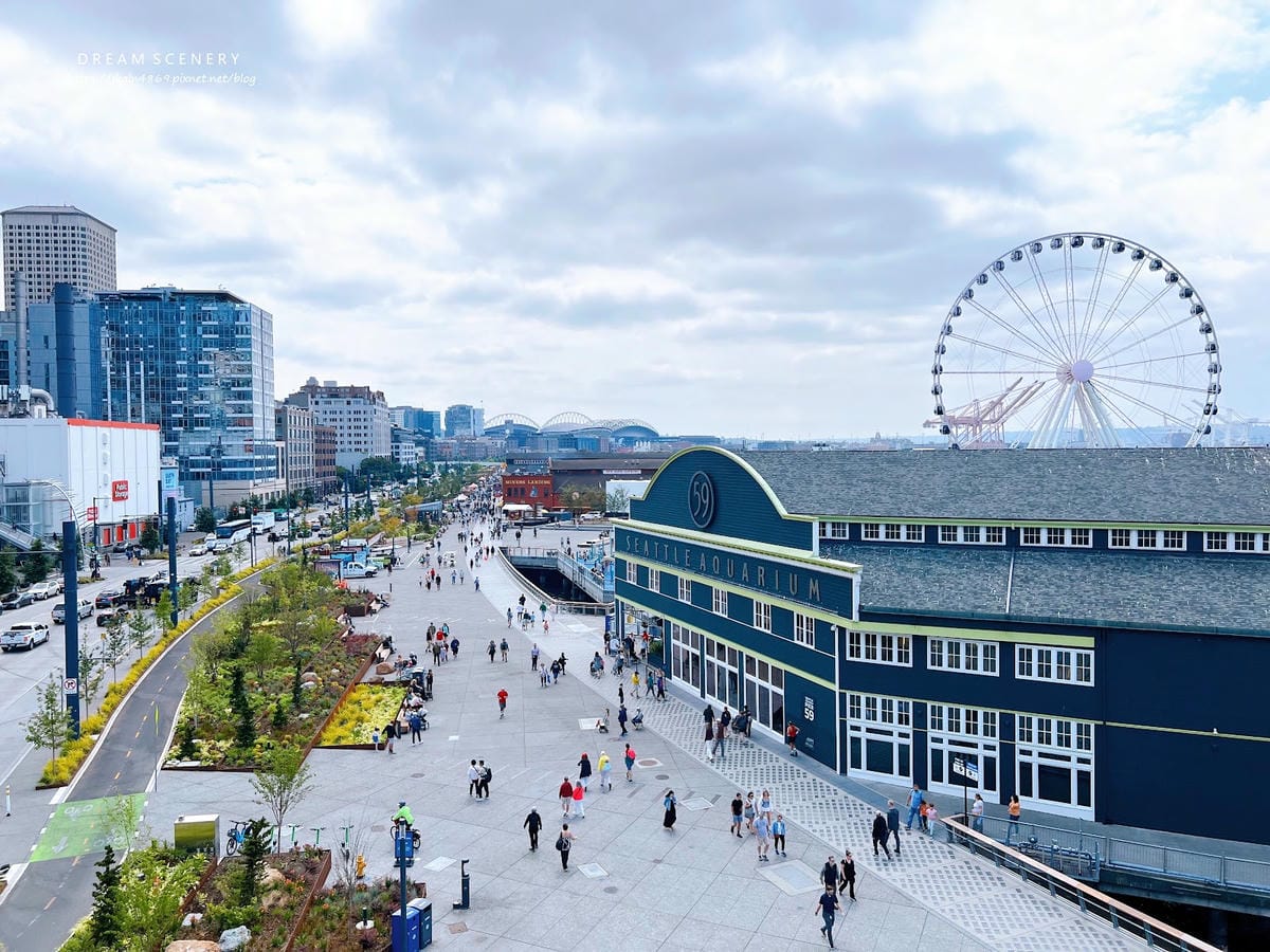 【美國- Seattle】丟魚秀、金豬Rachel、第一家星
