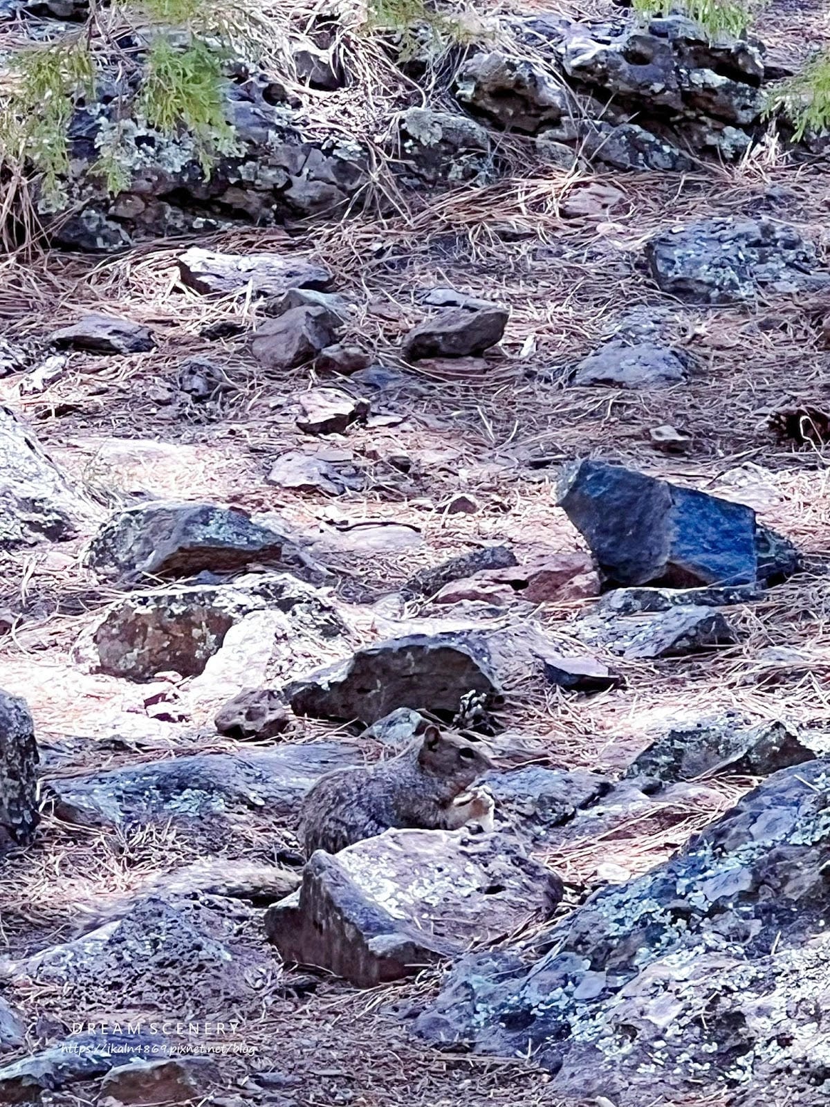 【美國-Arizona】亞利桑那的靜謐秘境│湖光漫步時光│F 【美國-Arizona】亞利桑那的靜謐秘境│湖光漫步時光│F