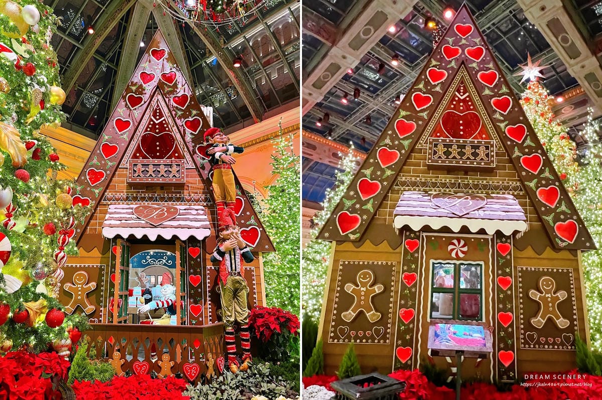 【美國-Las Vegas】2024冬季花園│百樂宮酒店 B 【美國-Las Vegas】2024冬季花園│百樂宮酒店 B