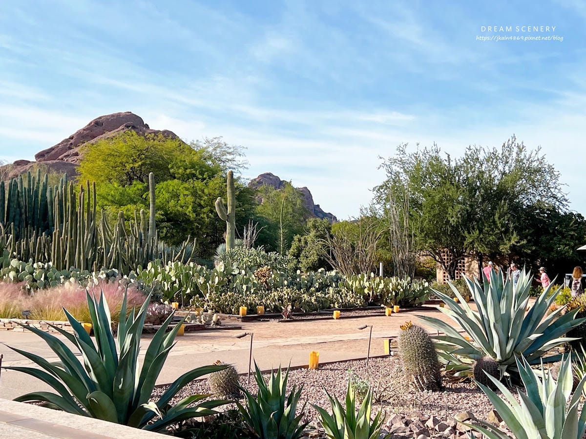 【美國-Arizona】亞利桑那州景點│沙漠植物園│Dese