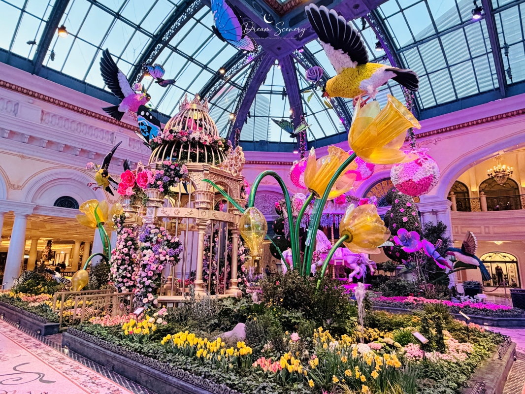 【美國-Las Vegas】Bellagio 2026 春季花園|Springtime Symphony: Music In Motion - 第1張圖 【美國-Las Vegas】Bellagio 2026 春季花園|Springtime Symphony: Music In Motion