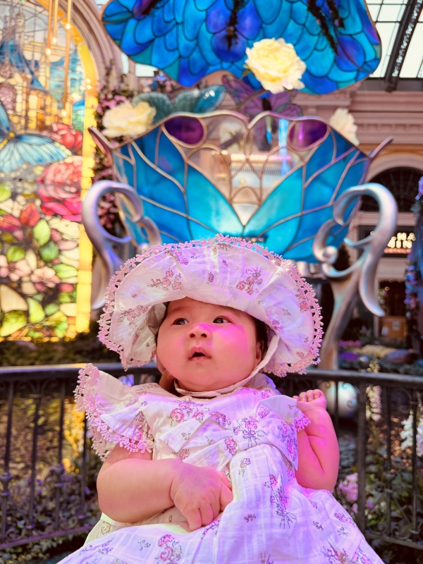 【美國-Las Vegas】Bellagio 2026 春季花園|Springtime Symphony: Music In Motion - 第63張圖 【美國-Las Vegas】Bellagio 2026 春季花園|Springtime Symphony: Music In Motion