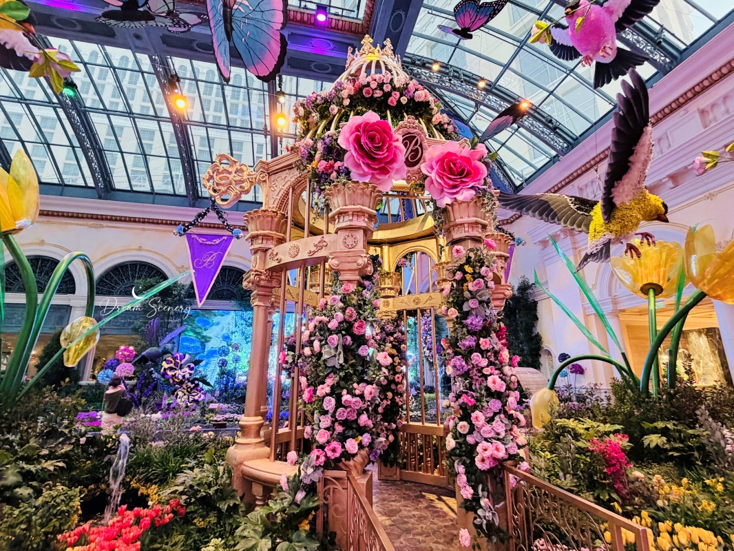 【美國-Las Vegas】Bellagio 2026 春季花園|Springtime Symphony: Music In Motion - 第7張圖 【美國-Las Vegas】Bellagio 2026 春季花園|Springtime Symphony: Music In Motion