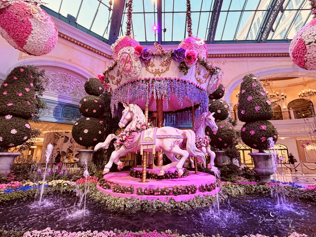【美國-Las Vegas】Bellagio 2026 春季花園|Springtime Symphony: Music In Motion - 第5張圖 【美國-Las Vegas】Bellagio 2026 春季花園|Springtime Symphony: Music In Motion