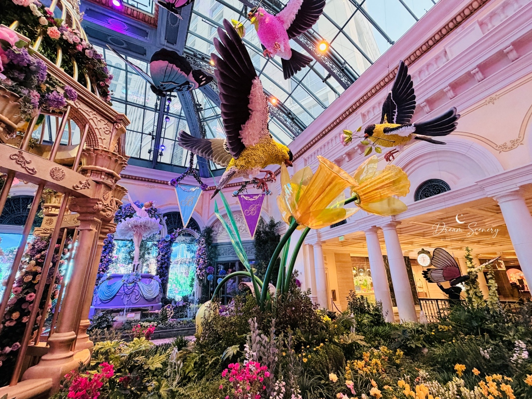 【美國-Las Vegas】Bellagio 2026 春季花園|Springtime Symphony: Music In Motion - 第10張圖 【美國-Las Vegas】Bellagio 2026 春季花園|Springtime Symphony: Music In Motion