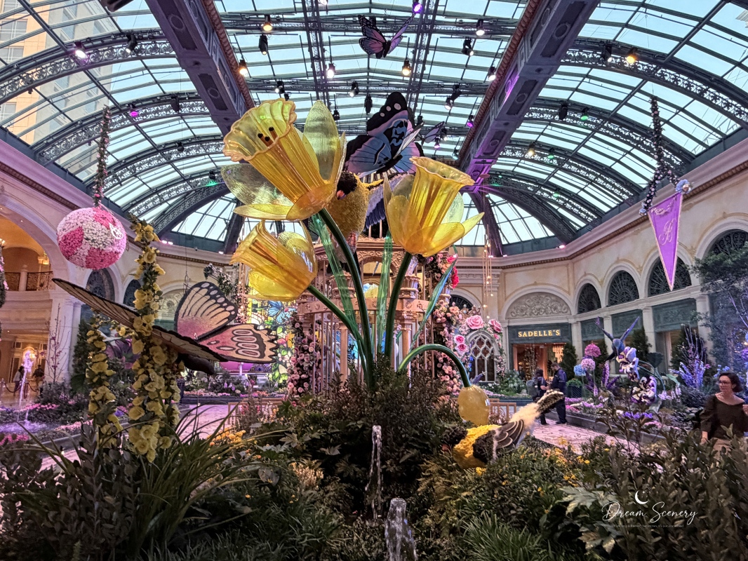 【美國-Las Vegas】Bellagio 2026 春季花園|Springtime Symphony: Music In Motion - 第9張圖 【美國-Las Vegas】Bellagio 2026 春季花園|Springtime Symphony: Music In Motion